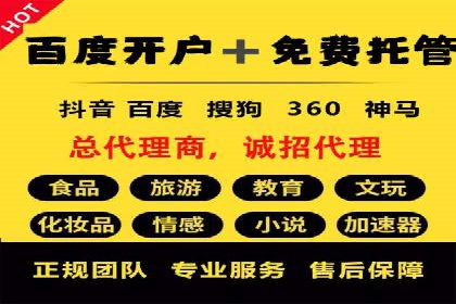 百度竞价推广的技巧与策略：某企业成功案例分享
